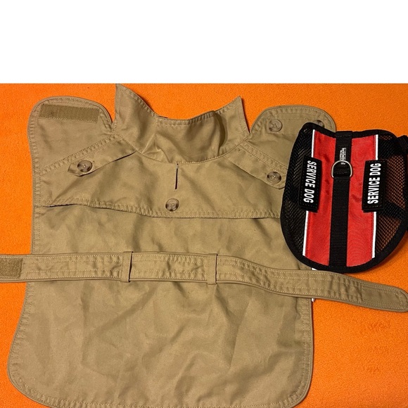 My Dog dresses better than me 🐶🧥 - Picture 6 of 7